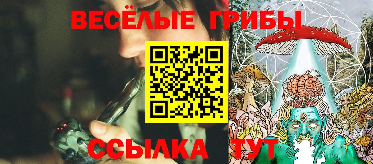 Галлюциногенные грибы прущие грибы  Галлюциногенные грибы Cubensis  Вход с VPN  Норильск 